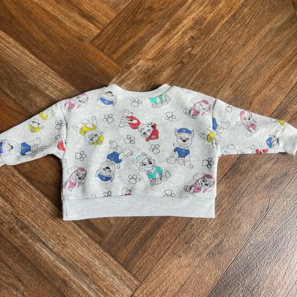 Nickelodeon Paw Patrol 2 Piece Set Outfit Pants Sweatshirt Grey Size 12 Months